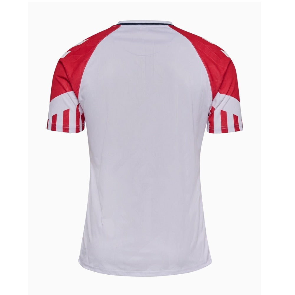 Maillot Danemark Extérieur 2023/2024
